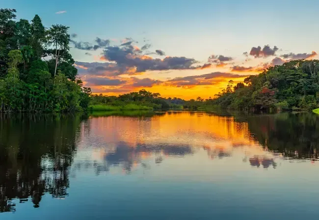 Amazonas