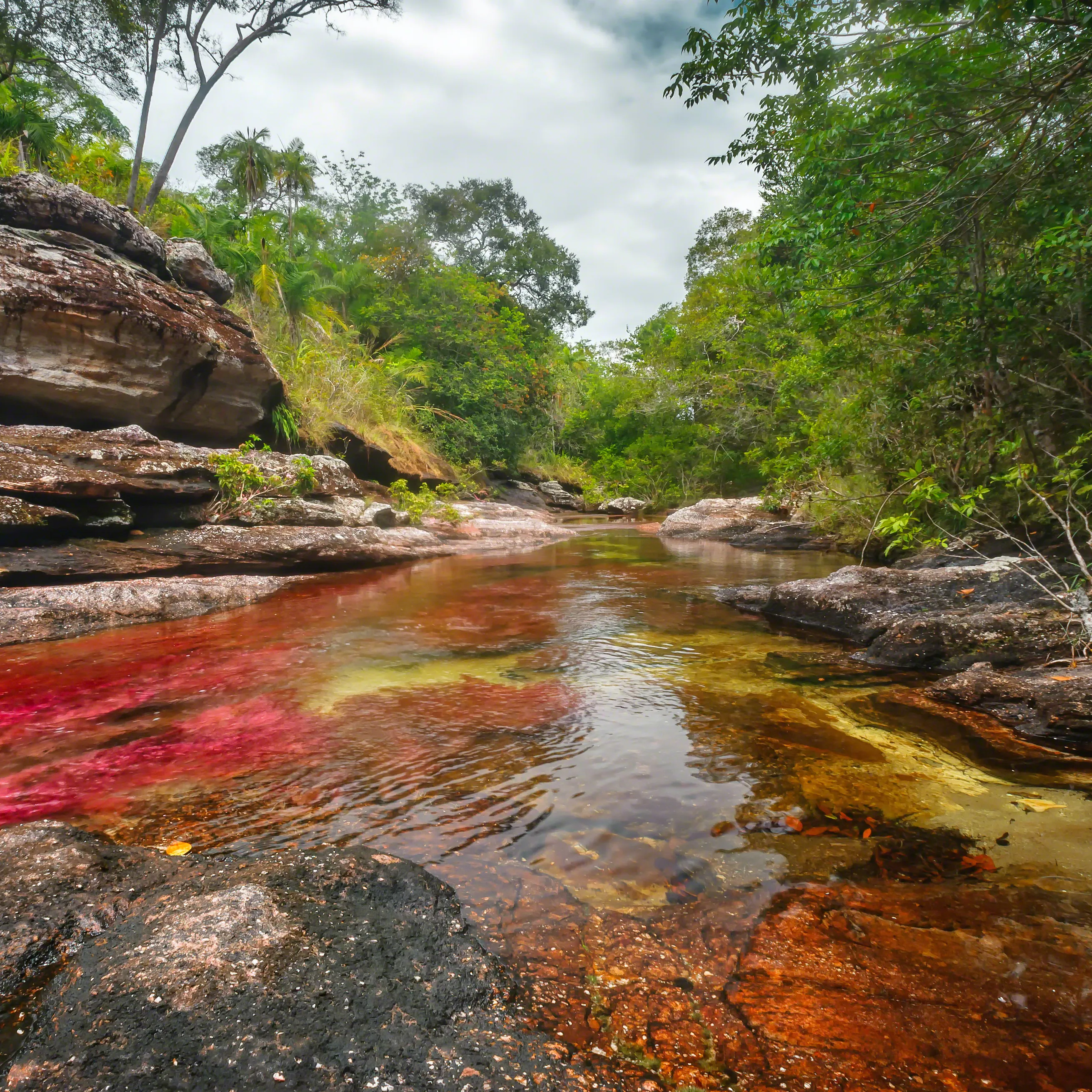Río de los cinco colores, Caño Cristales