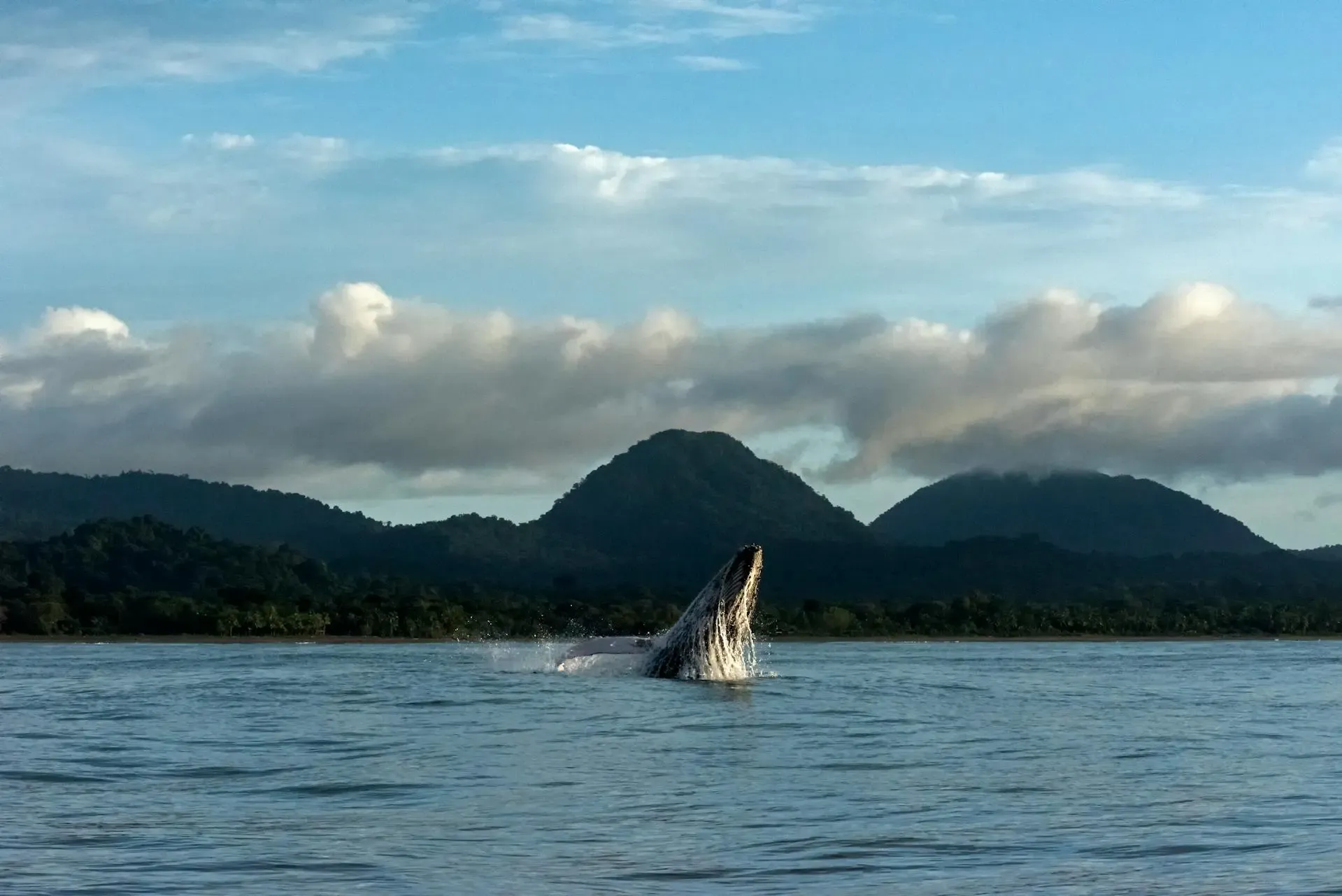 Costa Pacífica