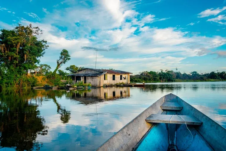 Selva amazónica colombiana desde el río