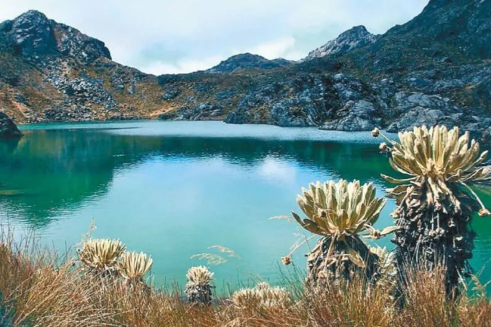Páramo de Sumapaz, ecosistema único de alta montaña