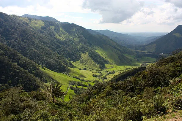 Región Andina