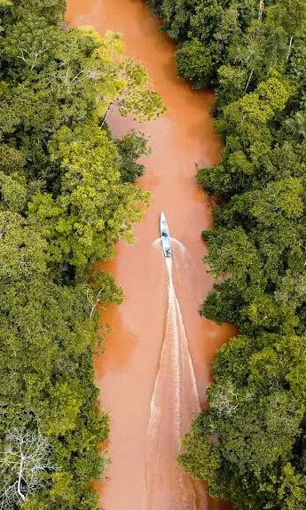 Expediciones en la selva amazónica colombiana
